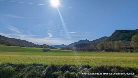 IMG-20230408-WA0023